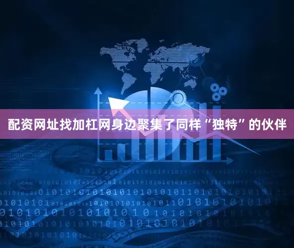 配资网址找加杠网身边聚集了同样“独特”的伙伴