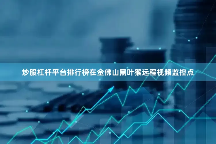 炒股杠杆平台排行榜在金佛山黑叶猴远程视频监控点